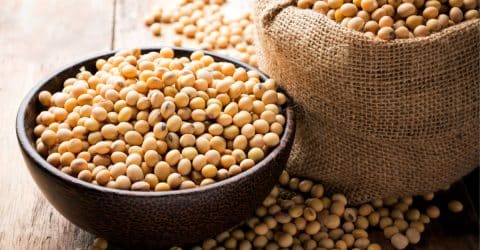 3 Myths about Soy: Setting the Record Straight