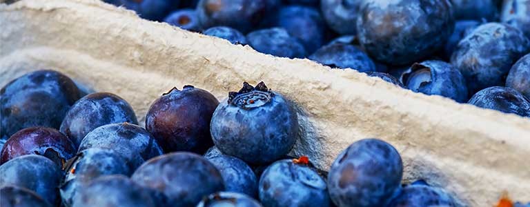 Crates of blueberries