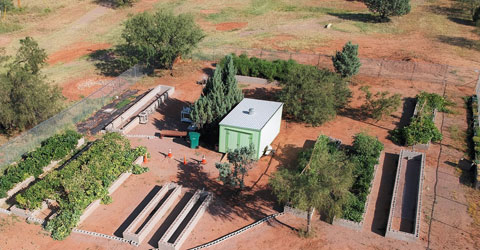 Arizona Community Garden Teaches Food Literacy and Creates Food Security