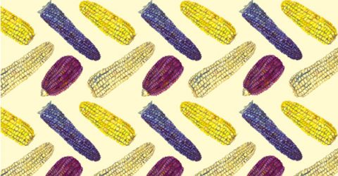 Plant-Based Diet Helps Native Americans Overcome Diabetes