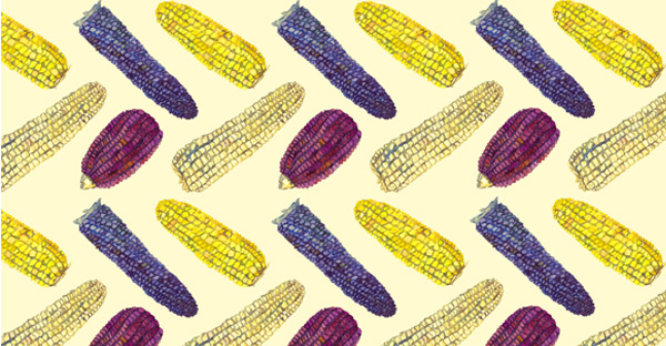 Benefits of Plant-Based Diet Helps Native Americans Overcome Diabetes