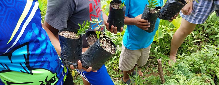 The VIDA Land Program in the Dominican Republic