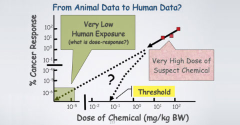 Dairy Protein Causes Cancer - Dr. T. Colin Campbell