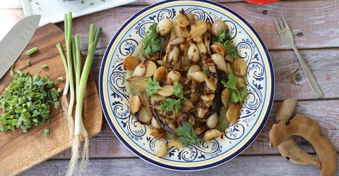Berenjenas rostizadas en puré de frijoles blancos y salsa de tamarindo