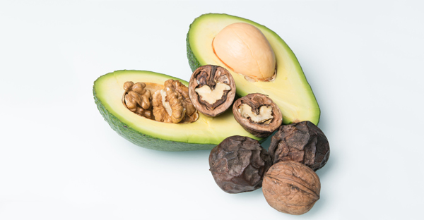 Evidence on Nut Consumption and Human Health