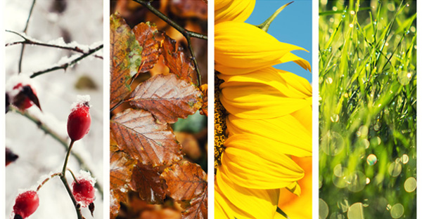 The Five Tastes: Balancing Foods for All Seasons