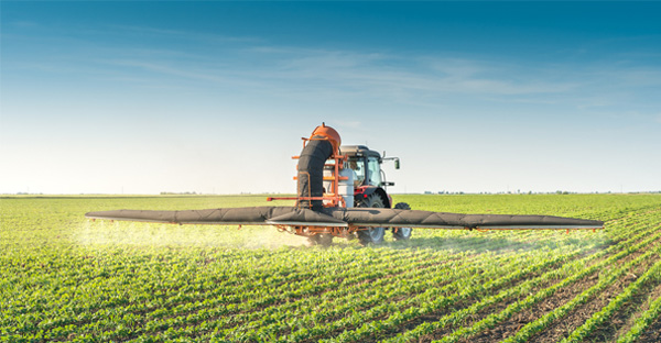 Food vs. Chemical Carcinogens