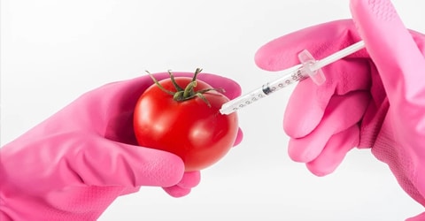 Tendencias alimentarias futuras: ¿Cómo serán las dietas basadas en plantas?