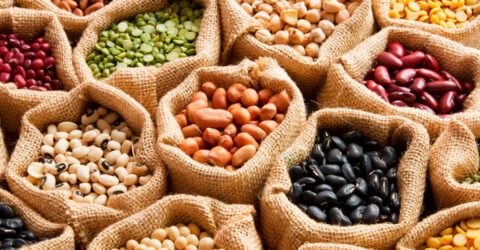 ¿De dónde obtienes tu proteína?