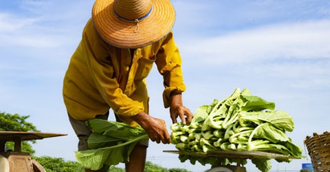 GRACE Project Improves Individual & Community Health Through Nutrition in Kenya