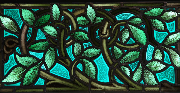 Healing & Transformation - Clergywoman Reflects on a Plant-Based Diet Transition