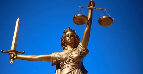 Science Dies. Eat What You Want!