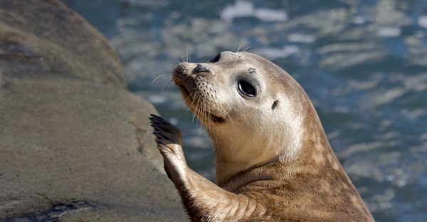 Cómo una conferencia hizo un océano de diferencia