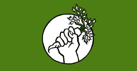 Food and Politics - How To Take Action & Support Sustainability Efforts for Our Future