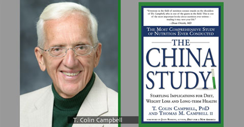 A Response to Denise Minger’s Critique of The China Study