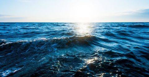 Ocean Acidification: The Newest Planetary Boundary Breached This Year