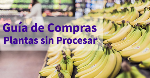 Guía de compras de alimentos basados en plantas
