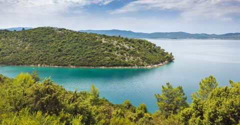 Planetary Boundaries 101: What They Are, Why They Matter, and How Food Impacts Each One