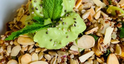 Plato poderoso con la docena diaria