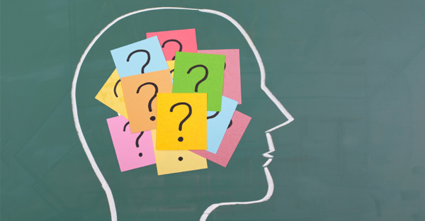 The Protein Puzzle: Picking up the Pieces