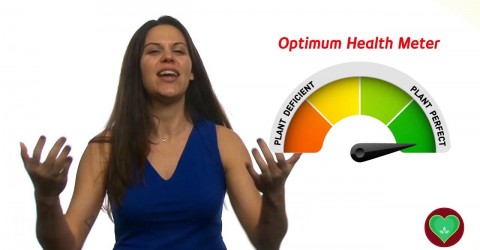 Lindsay Nixon on Putting Optimal Nutrition Into Action