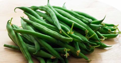 Habichuelas tiernas picantes