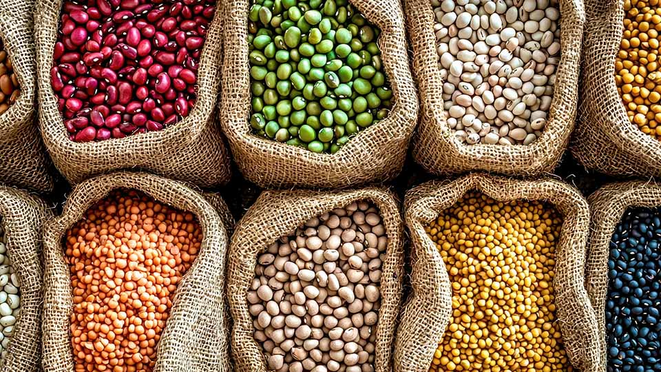Mastering Whole Grains & Legumes