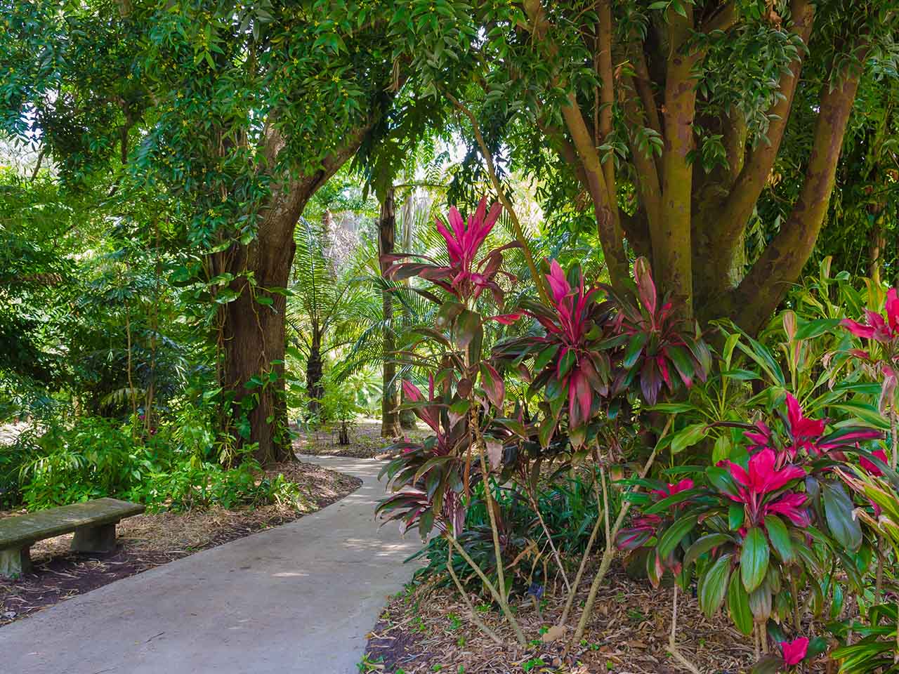 Harry P. Leu Gardens