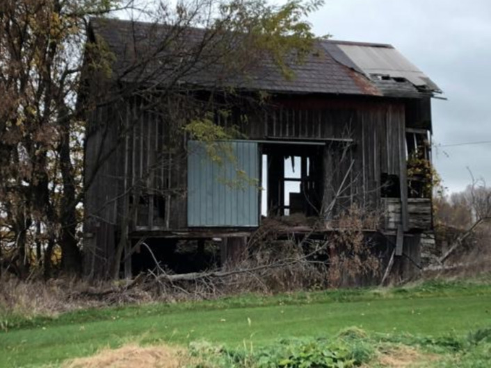 Roundup-Ready®, Grasshoppers and Animal Protein Are Connected