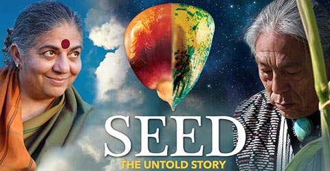 Seeds: Our Global Crisis Plus 5 Actions We Can All Take