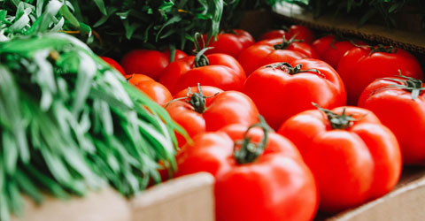 Unpacking the Science of Lectins - Are They Good or Bad?