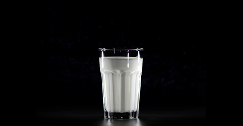 What Exactly Is A2 Milk? Everything You Need to Know About A2 Cow’s Milk