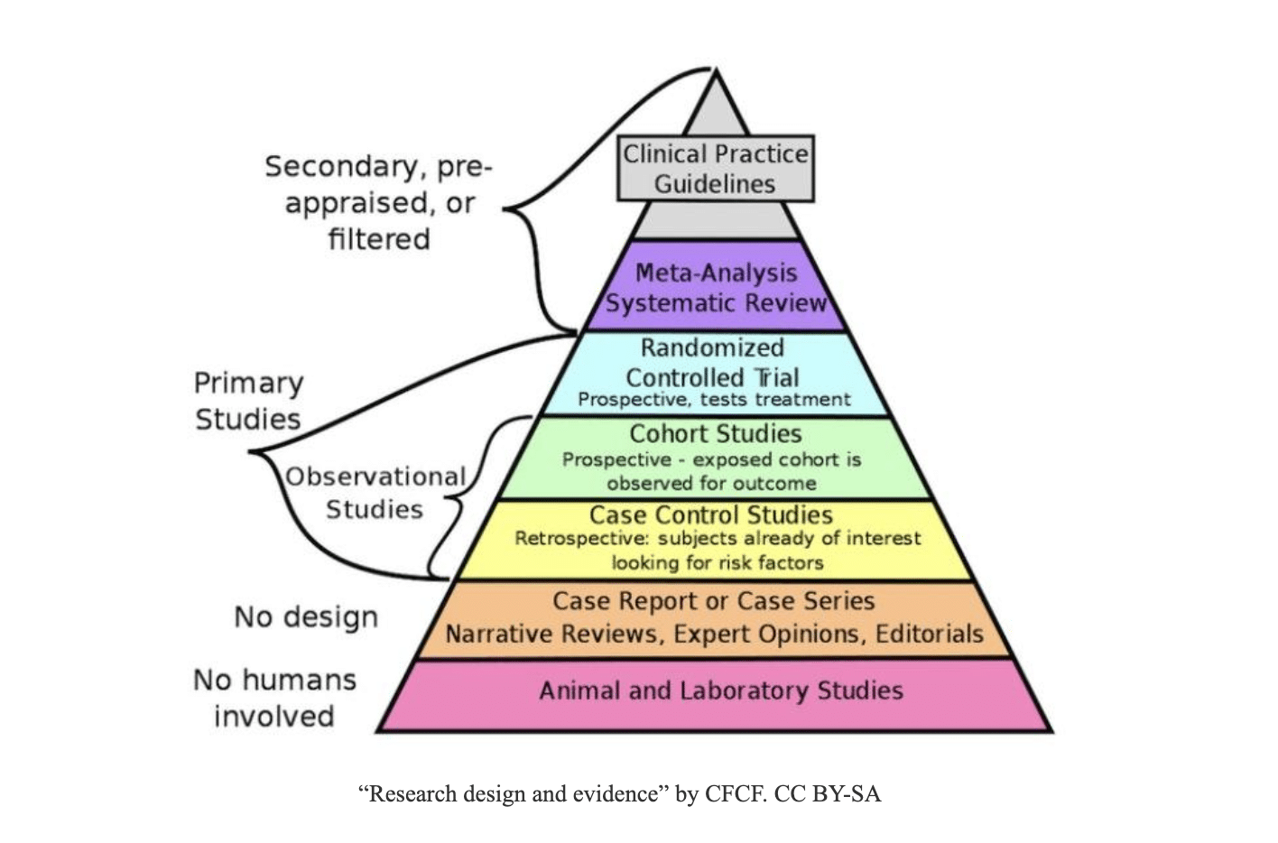 are superfoods bad for you