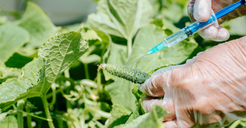 The Ultimate Food Fight Between Science and...